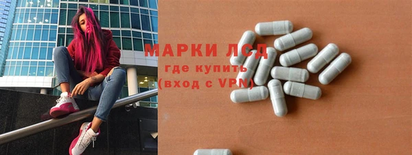 эйфоретик Баксан