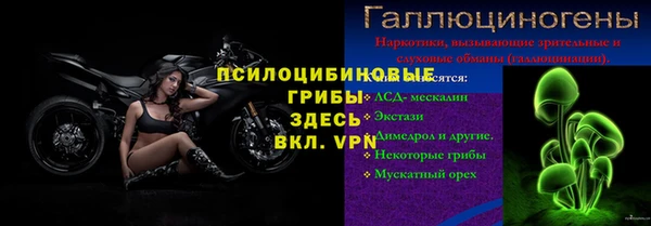 ГАЛЛЮЦИНОГЕННЫЕ ГРИБЫ Балабаново