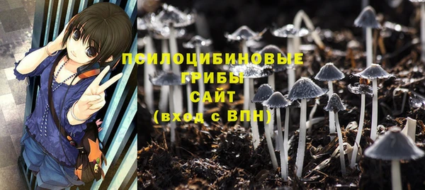 дживик Балахна