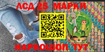 прущие крисы Кингисепп