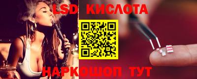 прущие крисы Кингисепп