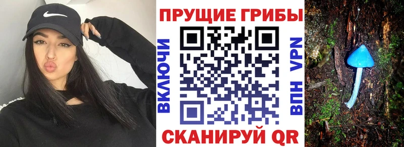 блэк спрут как зайти Мурманск Галлюциногенные грибы прущие грибы